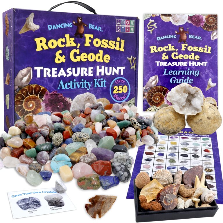 Dancing Bear Rock, Mineral & Geode Treasure Hunt Kit